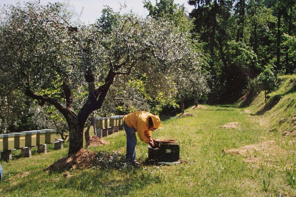 Ferienwohnung Agriturismo I Cerretelli Barga Zimmer foto